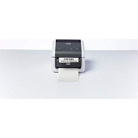 Impresora Térmica Brother TD4520DN 6 Ipm 300 x 300 DPI Gris, Blan (1/5)