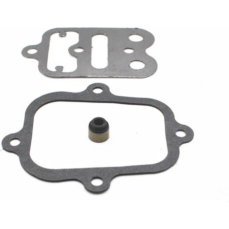 Suitable for Briggs & Stratton seals 791798 698215 695289 690034 (1/5)