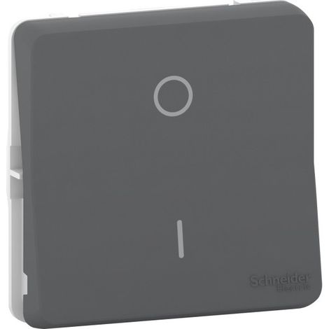 Schneider MUR35034 Composable Gray Double-Pole Switch, IP55, IK08, Mureva Styl – Automatic Connection (1/3)