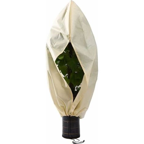 Housses pour plantes Housse hivernage pour Plantes, Housse hivernage pour Plantes, Housse d'hivernage Non tissée 140 g/m² Protection Contre Le Gel des Plantes en Palmier et Olivier (250x360cm),de DEB (1/5)