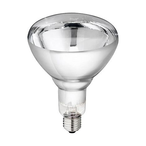 Bulb Kerbl Infrared Philips 150 W, Blanca