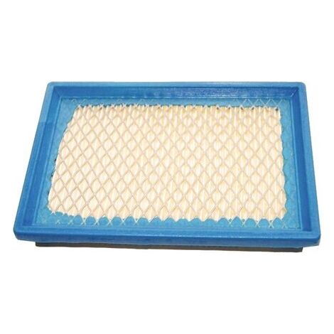Luftfilter Air BRIGGS et STRATTON 397795