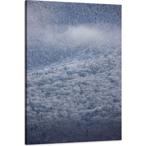 Stampa su tela Natura Foresta innevata 60x90 cm