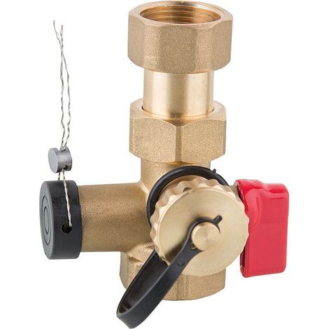 Vanne à Clapet en Laiton DN25 (1") Avec Robinet de Vidange KFE