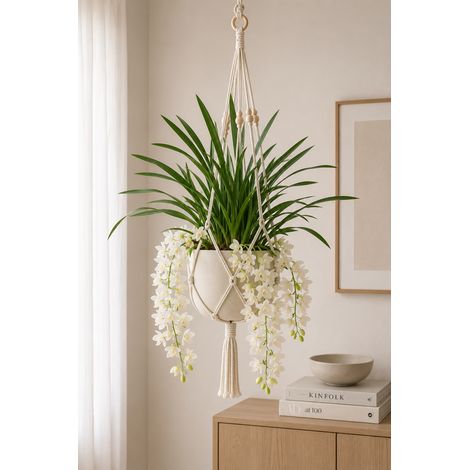 Gardenaria Cymbidium white 'Ice cascade' - Pianta da interno ornamentale - Altezza: 60 cm (vaso 14)