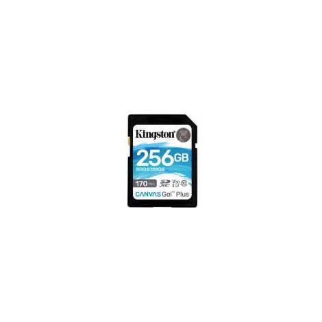 Memoria Flash Kingston Canvas Go Plus, 256GB SD UHS-I Clase 10 (1/5)