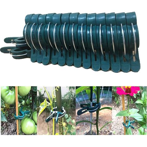 Pinces pour plantes grimpantes, tuteurs pour tomates, concombres et autres plantes grimpantes, système de fixation pour plantes grimpantes, aide à la croissance des plantes, pinces de jardinage robust (1/3)