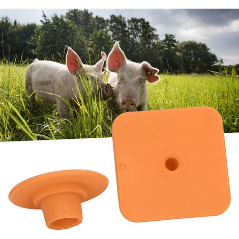 100 jeux/vendeur d'étiquettes d'oreille de porc ordinaires et simples, étiquettes d'oreille de porc carrées, étiquettes d'oreille de porc vétérinaires, orange. (1/5)