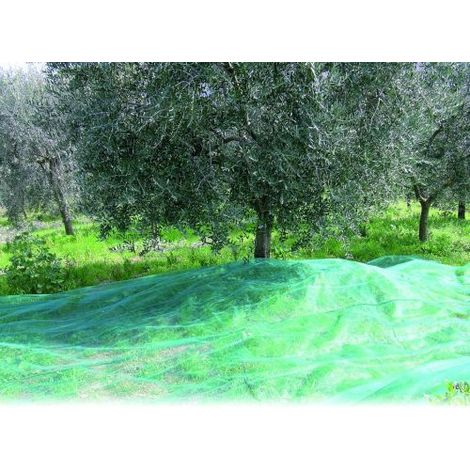 Rete Per Olive Antispine Mt. 6X10 (100 G/M)