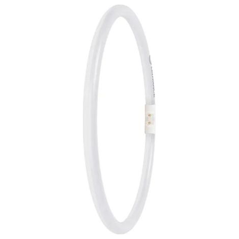 Osram LED Ringlampe T5 FC40/55 P 21,5W 830 2GX13 (1/3)