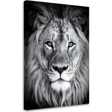 Tabelau sur Toile, Lion africain noir et blanc,20x30 (1/4)