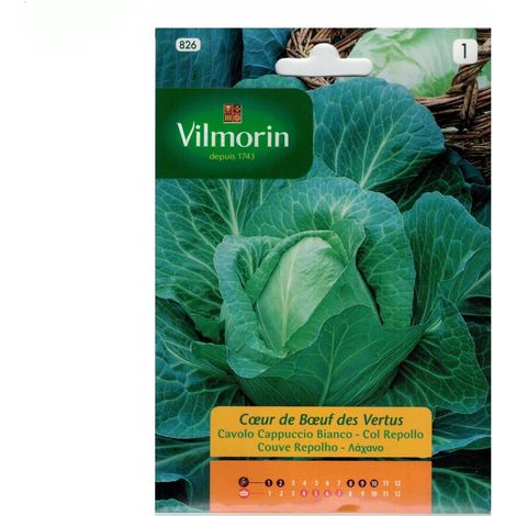 Col Samen Cabbolo Herz Ñn von Buey Vilmorin 6g
