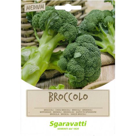 SEMI PER FAVE broccoletto sessantino leccese cima gross.- gr 100