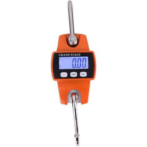 Balance Crochet Suspendu 300kg - Peson Electronique LCD Industriel 300kg/600lbs (1/4)