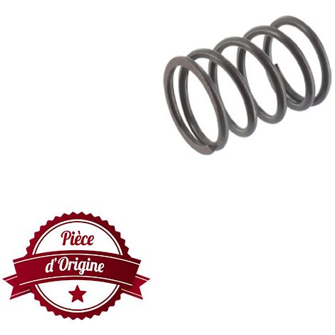 Molla valvola Briggs e Stratton - 691304