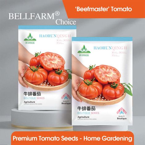 Tomates Beefmaster Beefsteak – Graines de légumes 500 graines/5 sachets pour plantation jardin et balcon (1/4)