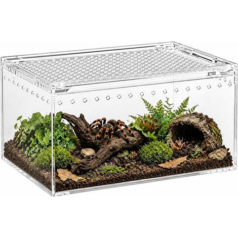 Terrarium en acrylique - Petit terrarium avec vue panoramique à 360° - Anti-évasion - Nettoyer - Pour reptiles, araignées et coléoptères (1/5)