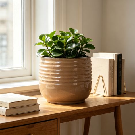Vaso da fiori in ceramica artigianale (Ø 26 cm), marrone chiaro lucido con struttura a scanalature ondulate orizzontali, traspirante, resistente al gelo, con fori di drenaggio per piante da interno e (1/5)