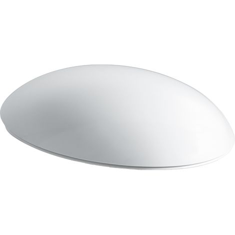 LAUFEN Alessi one Siège de WC avec couvercle, amovible, (1/5)