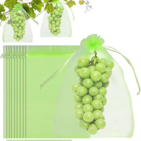 Filiyano-100 sacs de protection pour raisins, sacs de protection pour fruits de 20 x 30 cm avec cordon de serrage, sacs de protection contre les (1/5)