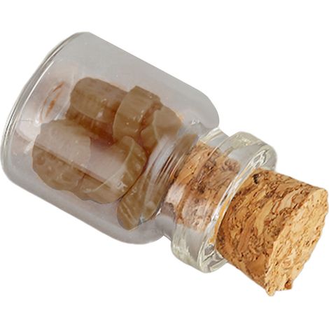 10 Accessoires Miniature de Cuisine pour Maison de Poupée, Nourriture Simulée Décorative Mignonne en Réduction (1/5)