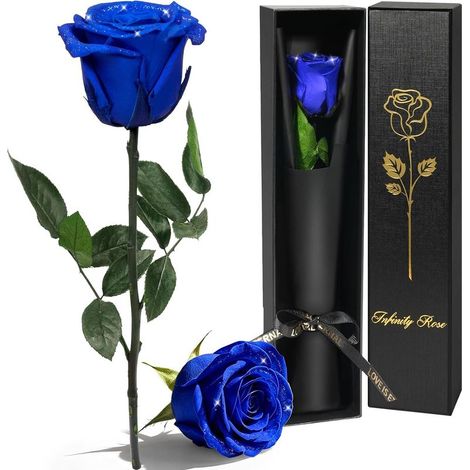Rose Eternelle Cadeau Femme,Vraie Rose avec Tige Cadeau Maman, Fleur Eternelle Cadeaux Anniversaire Femme,Fleur Préservée en Coffret Cadeaux Maman Noel Saint-Valentin Fete des Meres,Rose Bleue (1/5)