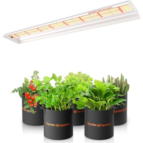 Spider Farmer SF600 74W LED Pflanzenlampe für Setzlinge, Gemüse, Pflanzen Blumen (1/5)