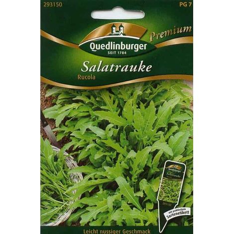 Quedlinburger Salatrauke Rucola - Kräutersamen (1/2)