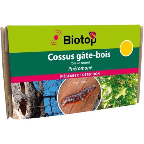 Phéromone Cossus gâte-bois (2 capsules) (1/2)