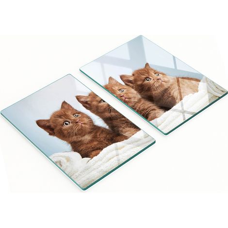 Set di due taglieri in vetro da cucina per gattini, 2x40x52 cm (1/5)
