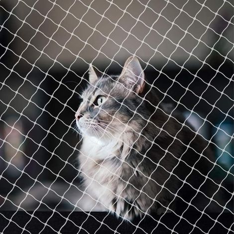 Filet de protection pour balcon pour chats, 3x10m Filet anti-oiseaux Sans perçage Transparent Filet anti-pigeons pour balcon Filet de protection pour balcon pour chats pour sécuriser les (1/5)