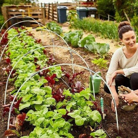 Arceaux Pour Serre Tunnel - Fibre De Verre - Acier Galvanise - Pour Protection Plantes Jardin - 18 Unites (1/5)