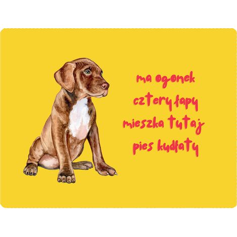 Placa con diseño de cachorro de cuatro patas - 20x28 cm