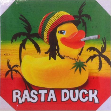 Cadre en toile Canard rasta 40 cm