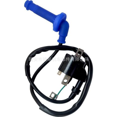 Bobine d'allumage 30500-HP1-003 pour TRX450R, TRX450ER Sportrax 450