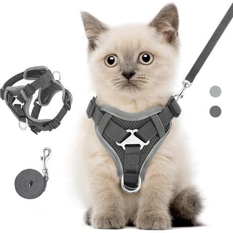 Harnais réglable et confortable pour chat et petit chien avec laisse, ensemble de promenade anti-évasion, respirant et réfléchissant (1/5)