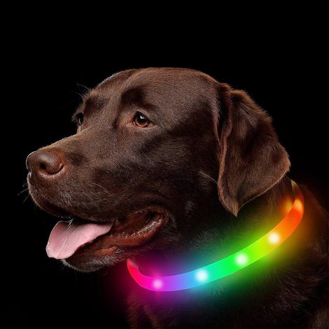 Collier lumineux LED pour chien, rechargeable, couleurs arc-en-ciel changeantes, étanche, pour une meilleure visibilité et sécurité de votre animal lors des promenades nocturnes. (1/4)