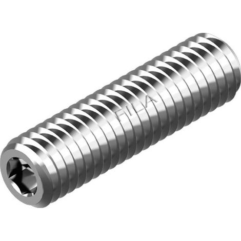 100 Vis Sans Tête Six Pans Creux Bout Plat 3 x 4 mm - ISO 4026 - DIN 913 - NFE27-180 - UNI 5923 - Inox A2 - D-Work