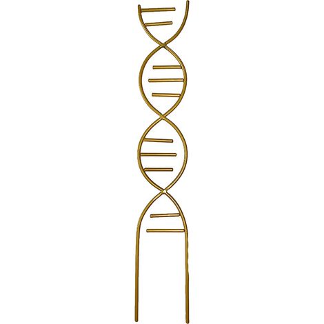 1 support pour plantes grimpantes, métal doré, 44 × 8,8 × 8,8 cm, pour pots intérieurs et extérieurs, tuteur vertical pour lianes et plantes volubiles (1/5)