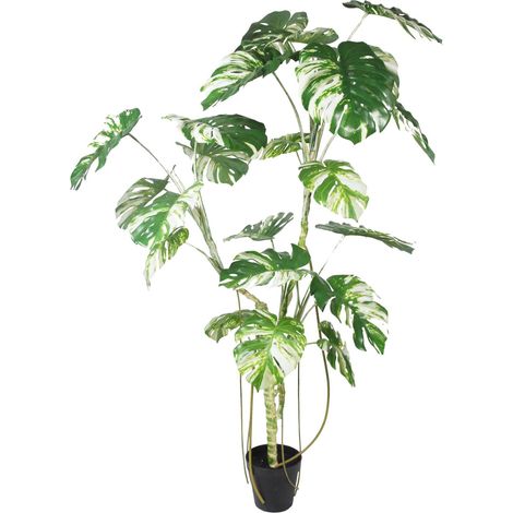 210cm Variegated Monstera Realistic Artificial Tree (1/2)