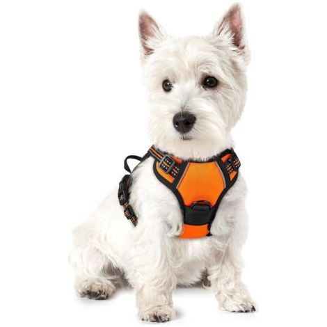 Harnais pour chien orange taille S poitrine 34-63 cm 1 pièce réglable rembourré gilet pour chien gilet en polyester pour animaux de compagnie (1/4)