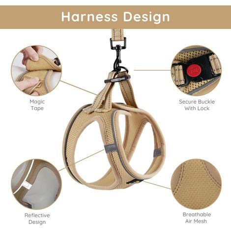 Harnais pour chien et chat réglable avec laisse, gilet de promenade respirant et réfléchissant pour animaux de compagnie