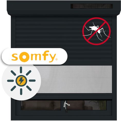 Volet Roulant Moustiquaire Intégrée Solaire alu motorisé Somfy H170xL150 Anthracite 7016 (1/5)