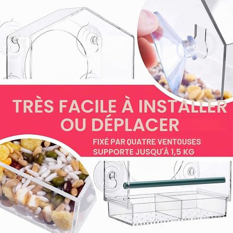 Mangeoires à fenêtre Acrylique Transparent, Bird Feeder Mangeoire à Oiseaux Sauvages avec Porte-graines et Ventouses, 21cmX20cmX10cm (1/4)