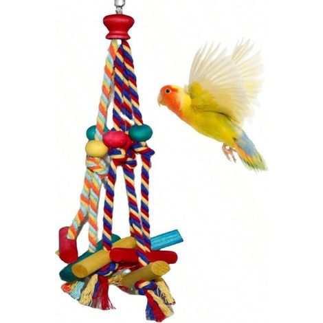 Jouet en corde pour perroquet, blocs en bois colorés, perle à mâcher, accessoire de décoration de cage à oiseaux (1/4)