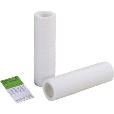 Cartouche filtrante de rechange Grünbeck 103075 taille 80 µm. 2000 sans cloche de protection, pack de 2 (1/3)