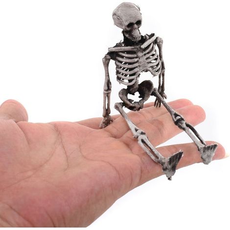 mini squelette d'Halloween, déguisement de squelette, simulation de crâne, squelette fantôme (1/5)