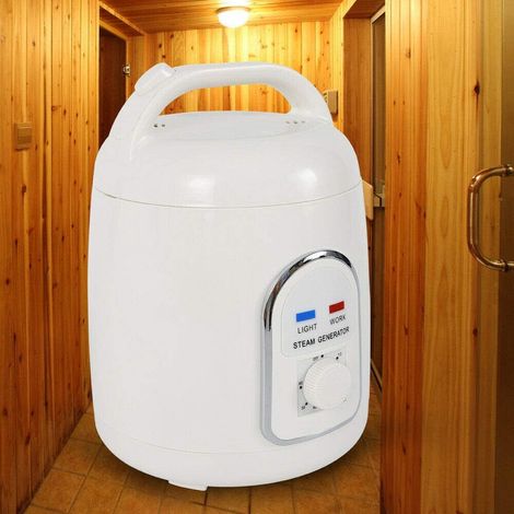 Générateur de Vapeur pour Sauna à Vapeur Portable, 1500ML 900Watt Douche Spa Sauna Domicile avec Minuteur