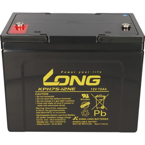 Ersatzakku für Meyra Optimus Light 2 x 12V 75Ah Blei AGM Akku-Satz zyklenfest (1/5)