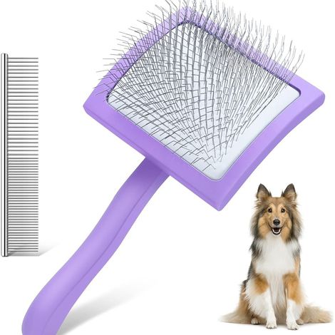 Slicker-Bürste für Hunde – lang – Stiftbürste für Goldendoodles, Pudel und Doodles – inklusive Ersatzkamm – ideal zum Fellwechsel (1/5)